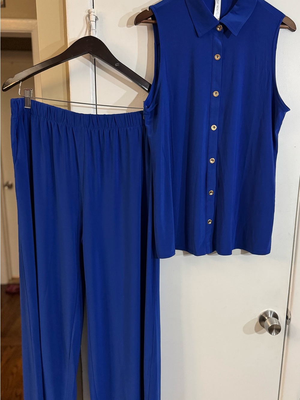Scarlett Sleeveless Button-Front Top & Wide-Leg Pants Set - Royal Blue
